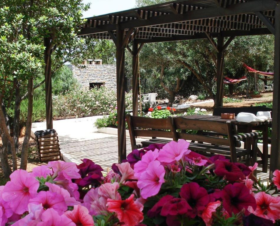 Katerina Charming Place Amoudara  외부 사진